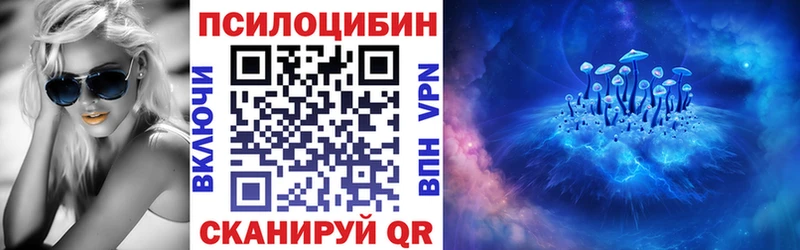 kraken ONION Гудермес Псилоцибиновые грибы Cubensis