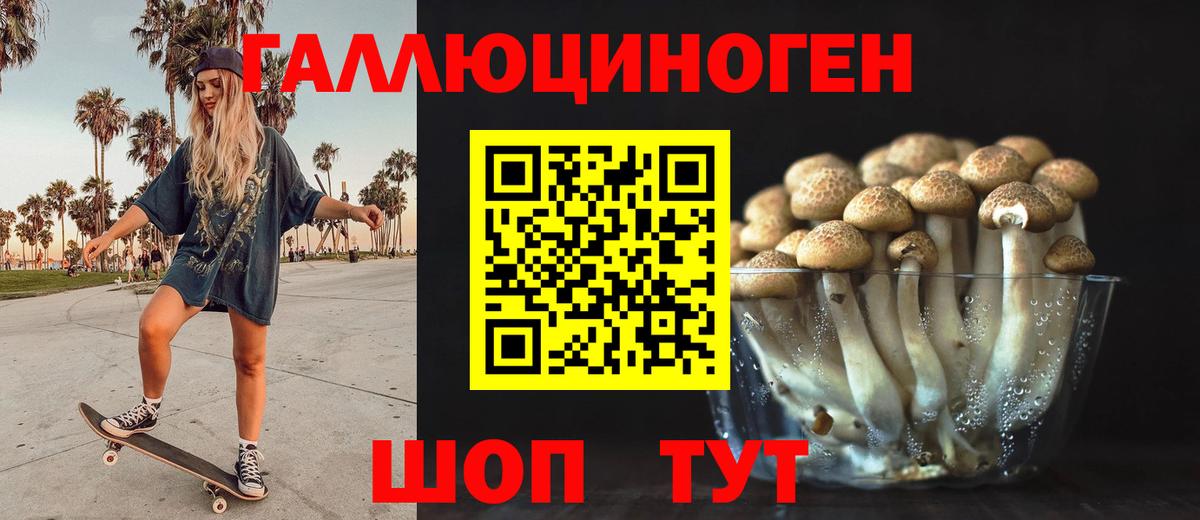 Галлюциногенные грибы Cubensis  Вход с VPN  Гудермес 
